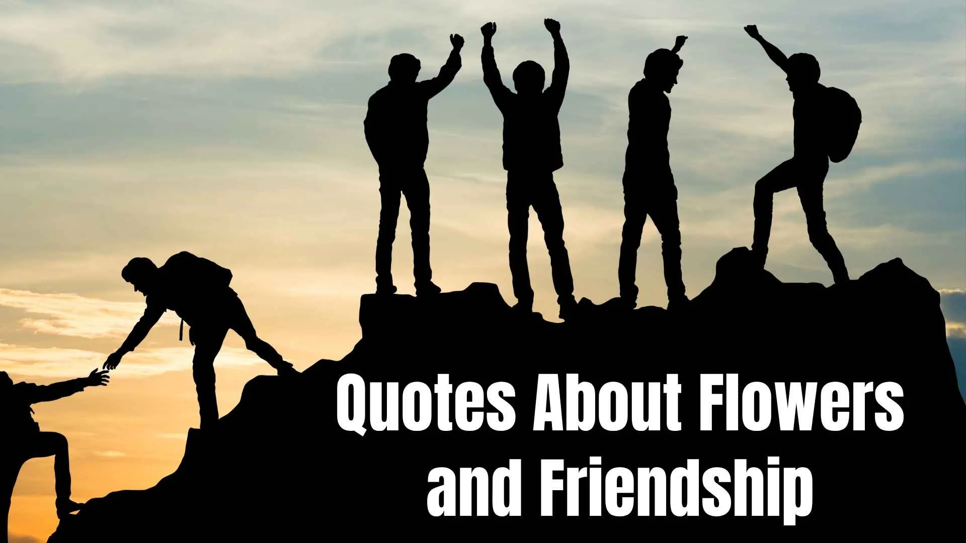 quotes about flowers and friendship